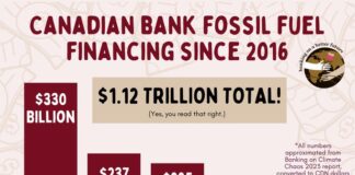 Our Banks Are Not Our Friends. They Are Climate Villains Our Banks Are Not Our Friends. They Are Climate Villains, Below2C