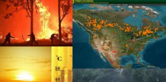 Are We Unable To Contemplate Our Own Destruction Are We Unable To Contemplate Our Own Destruction, Below2C