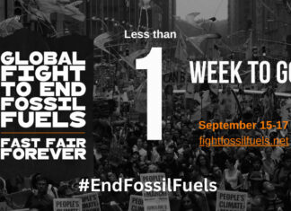 The Global Fight We Must Win: #EndFossilFuels The Global Fight We Must Win: #EndFossilFuels, Below2C